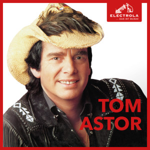 收聽Tom Astor的Tennessee Waltz歌詞歌曲