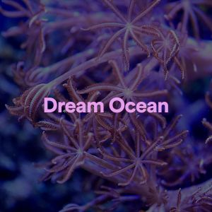 Album Dream Ocean from Calm Sea Sounds