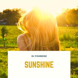 收听DJ Fishbone的Sunshine歌词歌曲