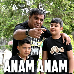 Listen to Anam Anam song with lyrics from Sedan Video