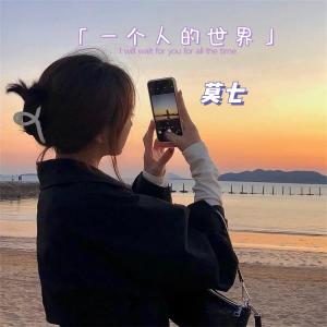 Album 一个人的世界 from 莫七