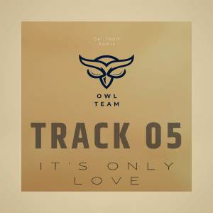Listen to Its Only Love Pargoy (Remix) song with lyrics from Owl_Team