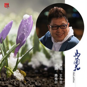 Listen to 马兰花 (完整版) song with lyrics from 王为念