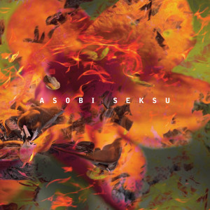 อัลบัม HMM HMM HIM ศิลปิน Asobi Seksu