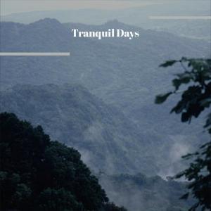 Listen to Tranquil Days song with lyrics from Elvy Folla
