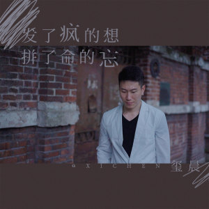 Listen to 发了疯的想拼了命的忘 (伴奏) song with lyrics from 玺晨