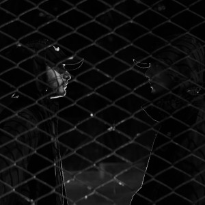 收聽Cánido的ÁREA RESTRINGIDA歌詞歌曲