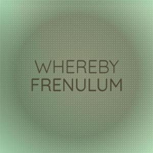 Various的专辑Whereby Frenulum