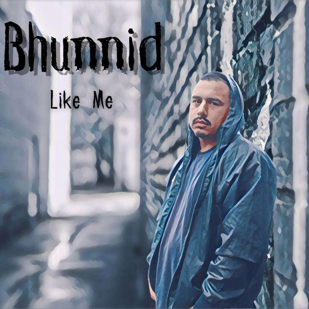Like Me (Explicit)