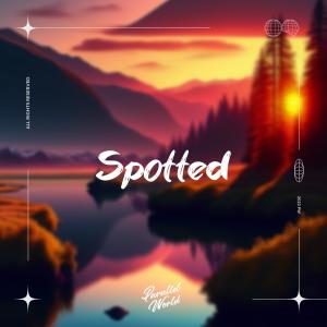 收聽Nvrminder的Spotted歌詞歌曲