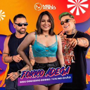 Banda Meu Xodó的專輯Forró Adega: Meu Dinheiro Desse / Vai no Chão
