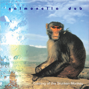ดาวน์โหลดและฟังเพลง They're Among Us (Pitchblack Conspiracy Remix) พร้อมเนื้อเพลงจาก Salmonella Dub