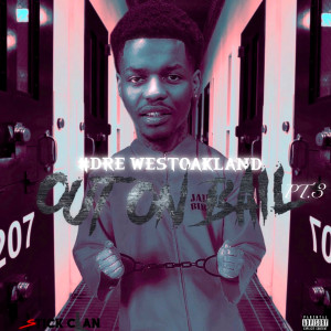 Album Out on Bail, Pt. 3 (Explicit) from #DRE
