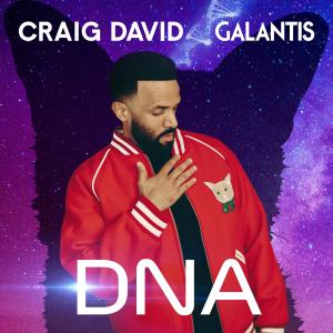 Album DNA from Craig David