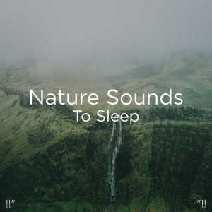 Listen to Zen Water song with lyrics from BodyHI
