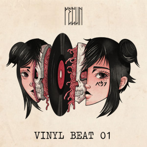 Album vinyl beat 01 from Pecun