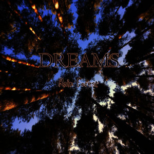 ดาวน์โหลดและฟังเพลง Rain Forest พร้อมเนื้อเพลงจาก Dreams