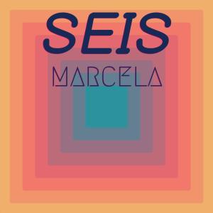 Listen to Seis Marcela song with lyrics from Wilfer Hesh