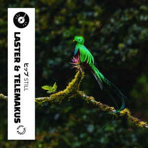 Listen to Still song with lyrics from Laster