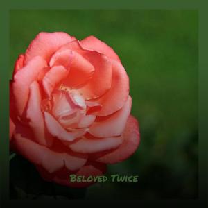 收聽Aung Mehman的Farewell Many歌詞歌曲