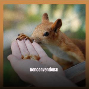 ดาวน์โหลดและฟังเพลง Nonconventional พร้อมเนื้อเพลงจาก Lauras Rint