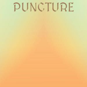 Various Artists的專輯Puncture