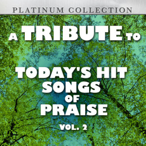A Tribute to Today's Hit Songs of Praise, Vol. 2