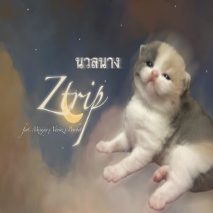 อัลบัม นวลนาง (Explicit) ศิลปิน Z TRIP