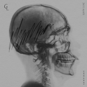 Listen to Sincerity (其他) song with lyrics from Gavin Luke