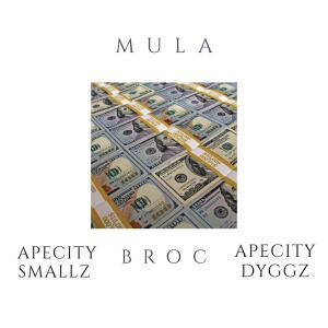 收聽ApeCity Smallz的Mula (feat. Apecity Dyggz & Broc) (Explicit)歌詞歌曲
