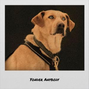 Album Yonder Anybody from Various