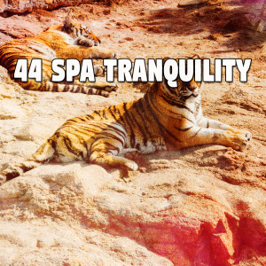 Album 44 Spa Tranquility from Nature Sounds Nature Music