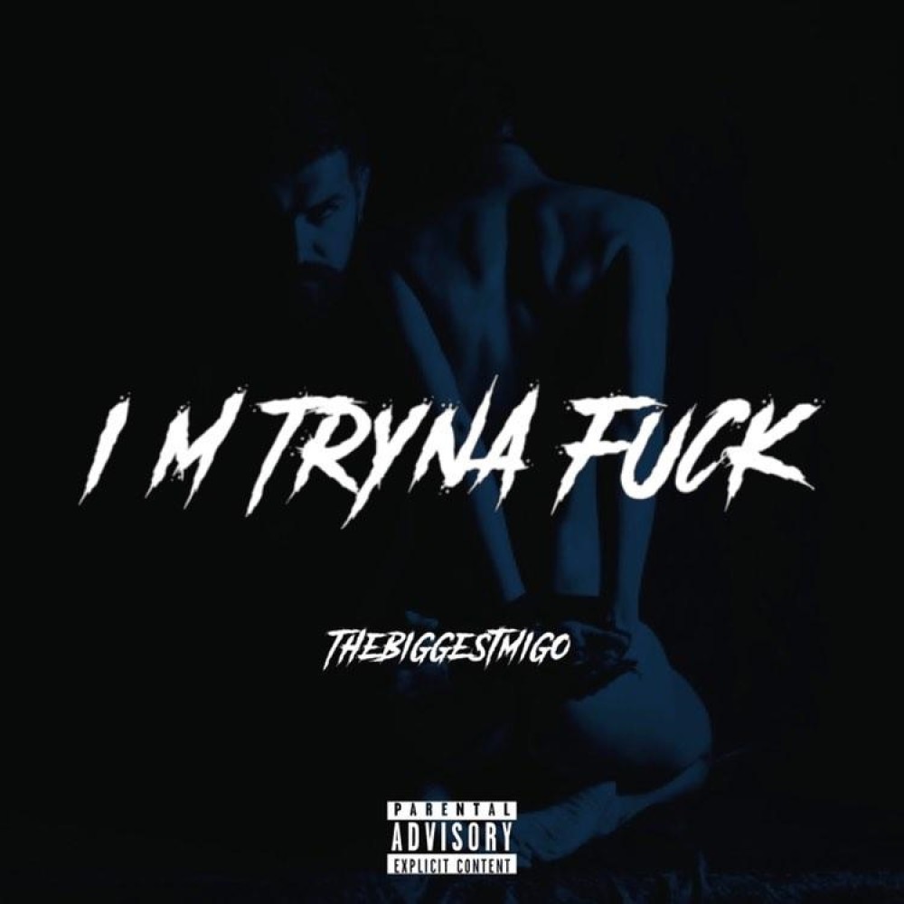 Im Tryna Fuck (Explicit)