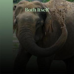 ดาวน์โหลดและฟังเพลง Buchu Jung พร้อมเนื้อเพลงจาก Emila Merr