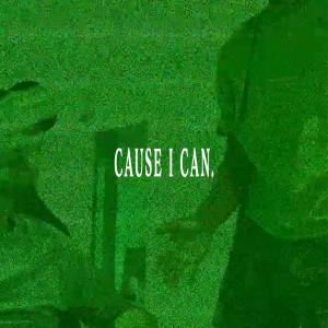 human bee的專輯CAUSE I CAN.