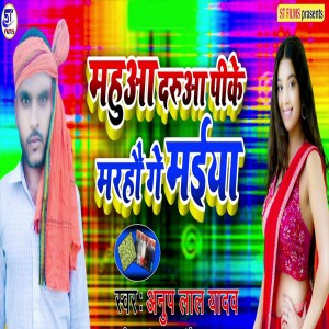 ดาวน์โหลดและฟังเพลง Mahua Darua Pike Marhou Gay Maiya พร้อมเนื้อเพลงจาก Anup Lal Yadav