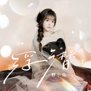 Listen to 浮潜 (伴奏) song with lyrics from 野小马