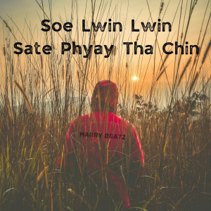 ดาวน์โหลดและฟังเพลง Soe Lwin Lwin Sate Phyay tha Chin (Explicit) พร้อมเนื้อเพลงจาก Marry Beatz