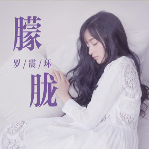 罗震环的专辑朦胧
