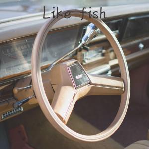 收听张酷的Like Fish歌词歌曲