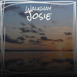 Various的专辑Walkway Josie