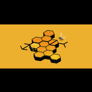 張藝興的專輯Honey