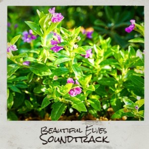 Album Beautiful Elves Soundtrack from Various