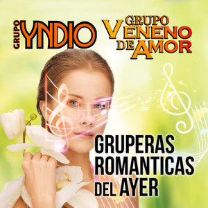 Album Gruperas Romanticas Del Ayer (Grupero) oleh Grupo Yndio