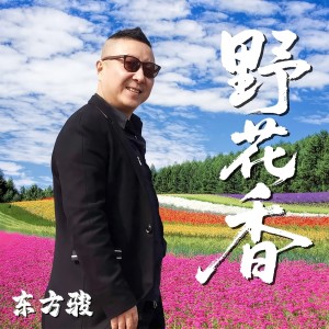 Album 野花香 from 东方骏