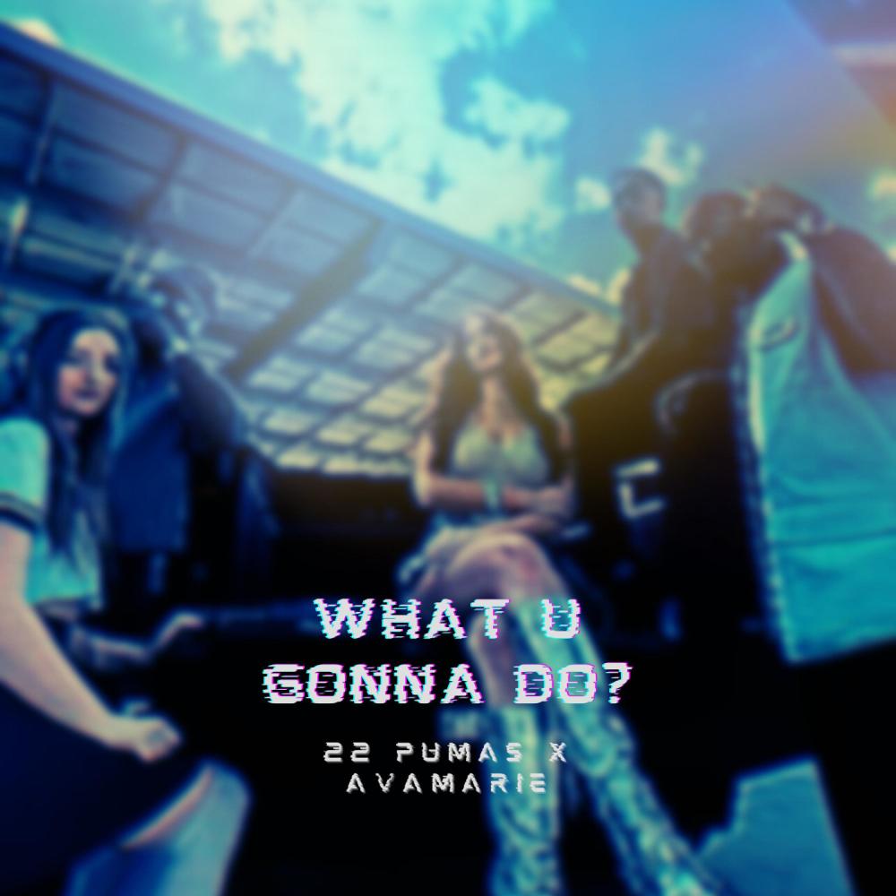 What You Gonna Do? (feat. Avamarie) (Explicit)