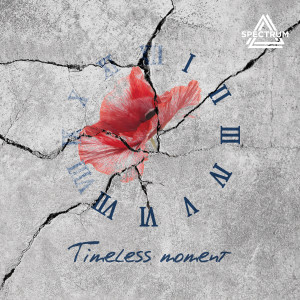 Album Timeless moment oleh 스펙트럼