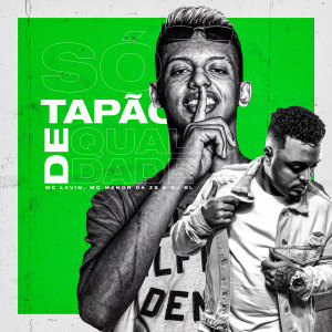 Listen to Só Tapão De Qualidade (Explicit) song with lyrics from MC Levin