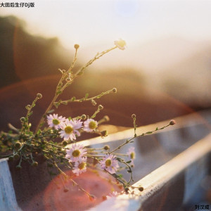 Listen to 大田后生仔 (Dj原乡鼓版) song with lyrics from 刘汉成