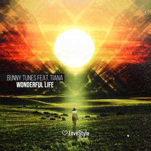 ดาวน์โหลดและฟังเพลง Wonderful Life (Extended Mix) พร้อมเนื้อเพลงจาก Bunny Tunes